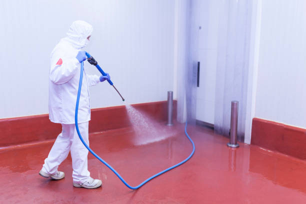 Best Roof Washing  in South Greensburg, PA